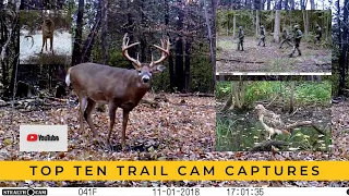 My 10 Most Memorable Trail Cam Videos (#1 is RARE!)