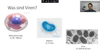 Dr. rer. nat Leonhard Stross, FSME, HBV, Pocken und Co. - Was sind Viren?