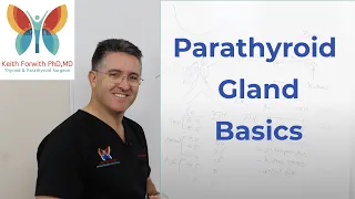 Parathyroid Gland Basics