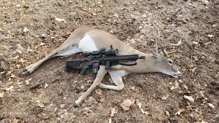 Mills county Texas 9pt Buck harvested using 300 Blackout (110gr V-Max) and ATN X-Sight 4K Pro 3-14