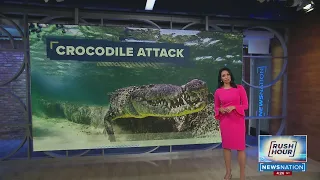 California teen survives crocodile attack in Mexico