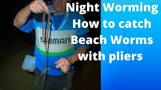 Giant beach worms in the dark