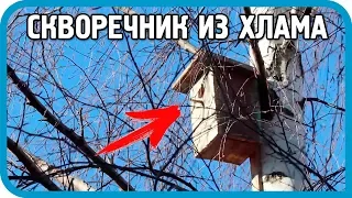 Скворечник из хлама за 5 минут! Будет ли результат?