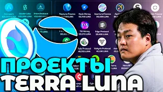 СРОЧНО! TERRA/LUNC НАПЛЫВ ПРОЕКТОВ! ПРОЕКТЫ TERRA ВЕРНУЛИСЬ! ВОТ ЧТО БУДЕТ С LUNA/LUNC!