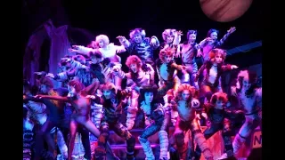 音樂劇 《CATS 》香港預演  Prologue + The Rum Tum Tugger + Memory｜ON!文化 Culture-ON