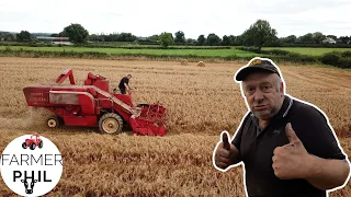 THE OLD GIRL FINISHES THE HARVEST -- MASSEY FERGUSON 788 COMBINE 55 YEARS OLD AND STILL CUTTING