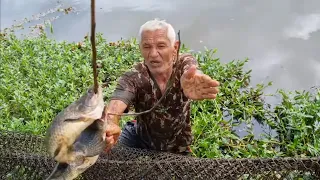 OLHA O QUE AS TRAÍRAS FIZERAM COM O VELHO SEGURA OS PEIXES