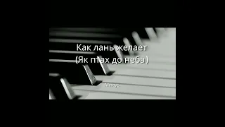 🎹Как лань желает/ Як птах до неба