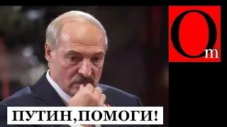 Лукашенко сдулся! ЕС накрывает четвертым пакетом санкций колхозного таракана