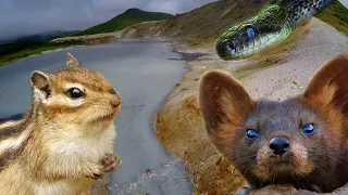 Golovnin Volcano Caldera - Boiling and Hot Lakes: on foot in the Kuril Islands | Film Studio Aves