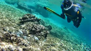 🇬🇷🐙 ΜΕΓΑΛΟ ΧΤΑΠΟΔΙ ΣΤΟ ΣΕΡΓΙΑΝΙ, ΤΟ ΠΡΟΛΑΒΑ ΠΡΙΝ ΒΡΑΧΩΣΕΙ - A BIG OCTOPUS PASSING BELOW ME 🐙🇬🇷