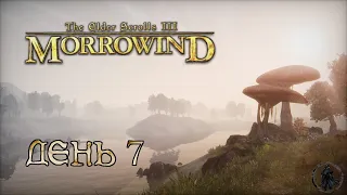 The Elder Scrolls III: Morrowind. Прохождение. Аркнтанд (часть 7)