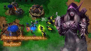 Warcraft III. Темная охотница против орка работает?