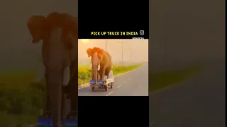 never mess india🤣 #punjab #viral #viral #funnyvideo #newvideos #trending