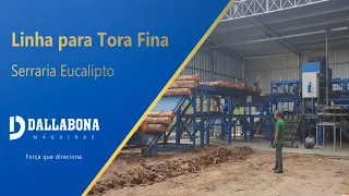 Linha para Tora Fina - Serraria Eucalipto