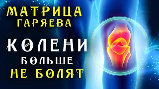 Единственная Матрица Гаряева для Коленного Сустава ☀️ Полное Восстановление Коленей Звуком