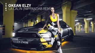 Okean Elzy - Обійми (Nippandab Remix)