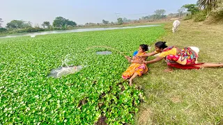 Fishing Video🐬🐬 | Amazing Village Women Hook Fishing in village pond | fish catching video  #fishing