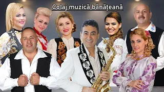 Colaj muzica banateana 🎤|| Colaj muzica populara din Banat 🎷