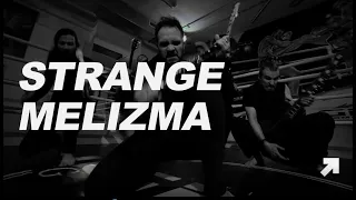 Участник Фестиваля Russian Woodstock и рок-турнира - Группа Strange Melizma