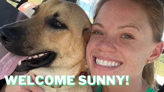 I got a new dog!! Welcome Sunny!