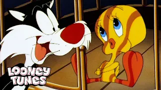 Tweety und sein musikalischer Streifzug | The Sylvester & Tweety Mysteries | @GenWBDeutschland