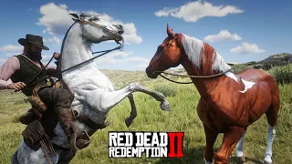 EM BUSCA DO MUSTANGUE, vamos domar cavalos - O Domador de Cavalos - Red Dead Redemption 2