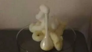 reaction of POTASSIUM IODIDE & HYDROGEN PEROXIDE/  elephant toothpaste