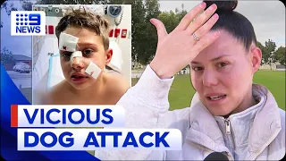 '﻿It looked like a murder scene:' Boy attacked by dog in Perth | 9 News Australia