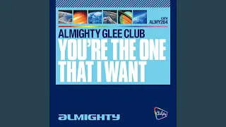 You're the One That I Want (Almighty Definitive Radio Edit)