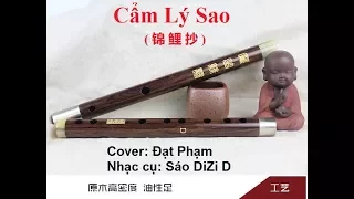 Cẩm Lý Sao (锦鲤抄) Cover sáo DiZi D