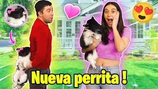 LE CONSEGUÍ NOVIA a NUESTRO PERRITO por SAN VALENTÍN 🥺💗