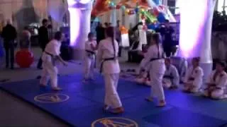 Yoshinkan Aikido Kids Russia / Ёсинкан Айкидо наши дети