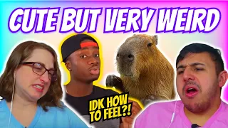 Casual Geographic - Science Behind the Unproblematic Nature of the Capybara | Eli & Jaclyn REACTION