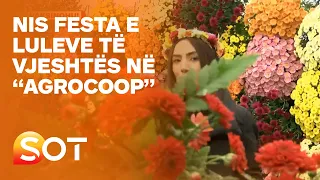 Nis festa e luleve të vjeshtës në “Agrocoop” - 15.10.2021