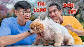 Quang BM | Chăm Sóc Chú Chó Hoang 🐶 | Care For Stray Dog