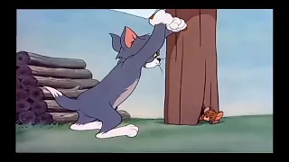 Jerry + duck tease the Tom (tom and Jerry) funny episode