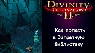 Как попасть в Запретную библиотеку на безымянном острове. Divinity 2