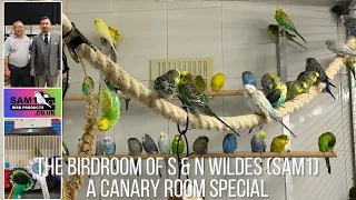 A Canary Room special visit to the Budgie birdroom of S & N Wildes (sam1)