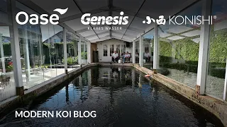 Modern Koi Blog #5441 - Alberts sensationelles Koi-Glashaus im Japanstil