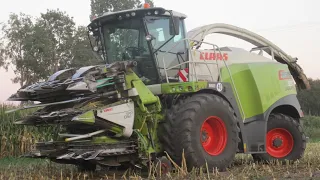 Kukurydza na kiszonkę🌽 GR.Chabier☆John Deere na przepale?! UR.Elsner☆Claas Jaguar 950 w akcji☆ATK!