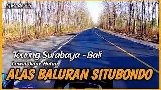 Touring SURABAYA - BALI [ Episode 5 ] Melewati Hutan Alas Baluran Situbondo Arah Banyuwangi