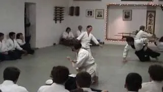 Linna Lee - Shodan Test