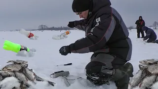 Нашли Огромную стаю рыбы! И сразу нас окружили со всех сторон! Оставили бутылки на всю ночь!