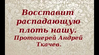 Пророчества Иова о Христе. Разбор книги Иова  Протоиерей Андрей Ткачев