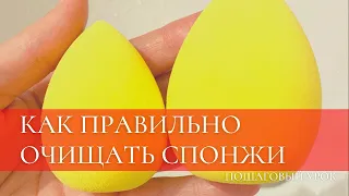 Как правильно очищать бьюти спонжи