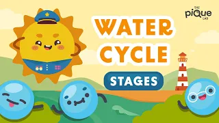 Water Cycle Stages  | Primary School Science Animation