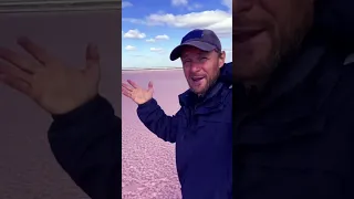 Pink salt lake soon trailer