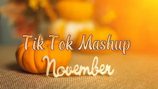 Tik Tok Mashup November 2022 (Not Clean)