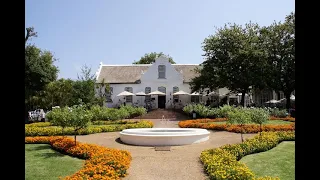 A vlog from Delft to a wine farm in Stellenbosch, cape town. What an amazing experience!!!